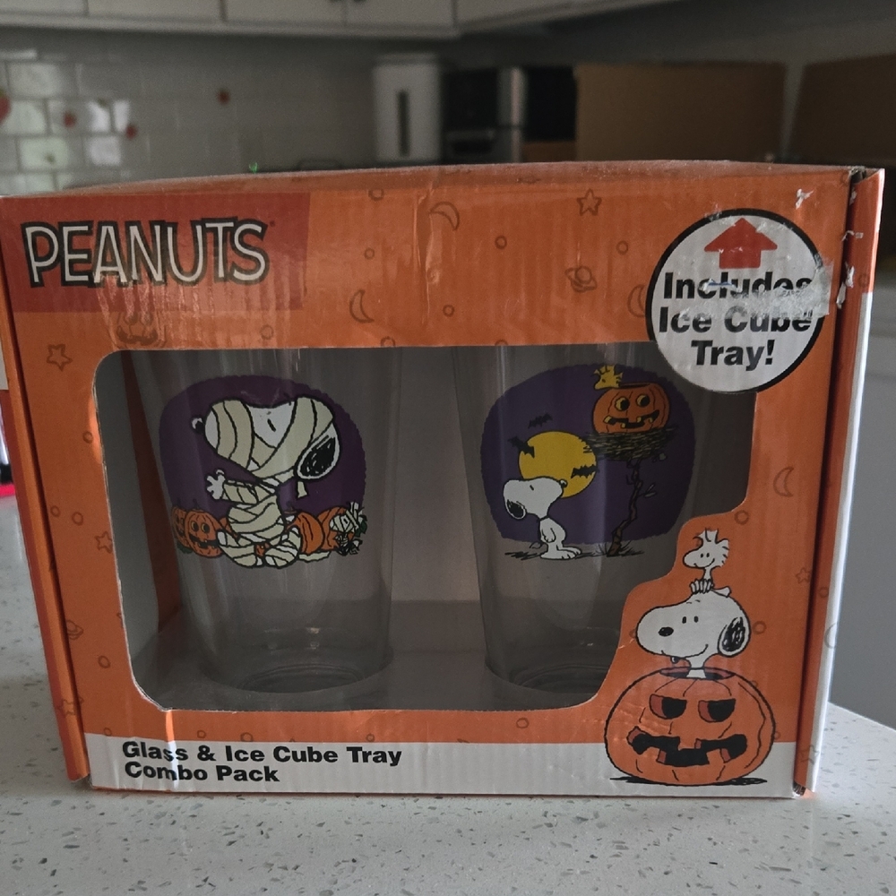Peanuts Orange and Purple Party Favors Set